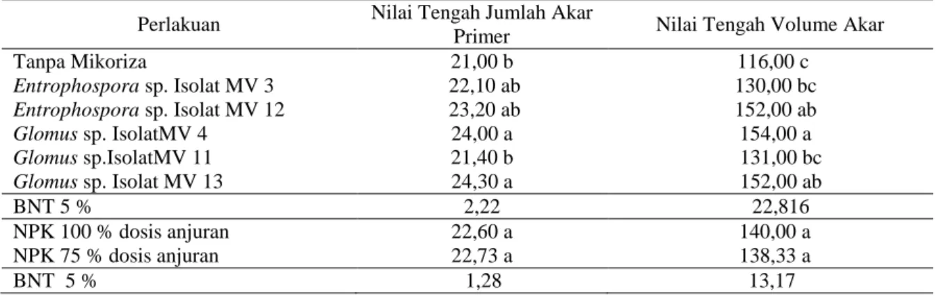 Tabel 7. Pengaruh perlakuan jenis FMA dan dosis pupuk NPK pada jumlah akar primer dan volume  akar bibit kelapa sawit umur 9 bulan