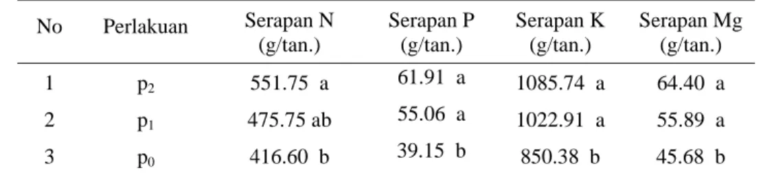 Tabel 12. Pengaruh  dosis pupuk terhadap serapan hara N, P, K, Mg tanaman jagung  No Perlakuan  Serapan N   (g/tan.)  Serapan P  (g/tan.)  Serapan K  (g/tan.)  Serapan Mg  (g/tan.)  1 p 2  551.75  a  61.91  a  1085.74  a  64.40  a  2 p 1  475.75  ab  55.06