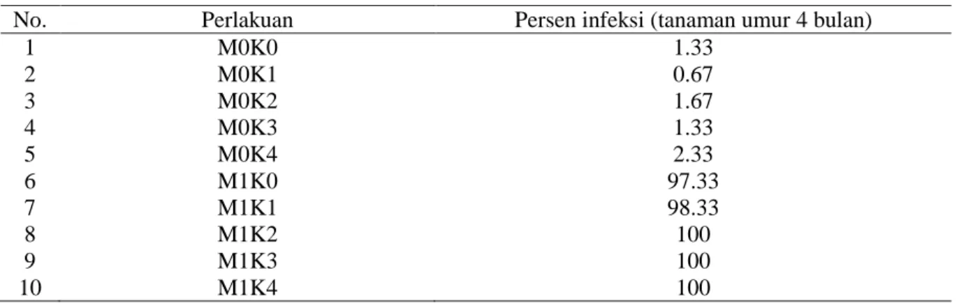Tabel 4.   Rata-rata  Persen  Infeksi  Akar  Tanaman  Kelapa  Sawit  Umur  4  Bulan  pada  Pemberian  Mikoriza Indigen dan Pupuk Kompos Kotoran Sapi di Lahan Marjinal 