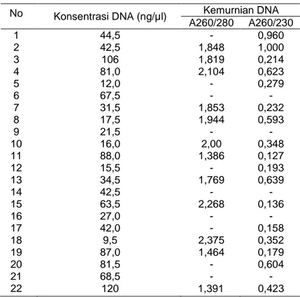 Tabel 1. Hasil Uji Kualitatif DNA Hasil Isolasi  No  Konsentrasi DNA (ng/µl)  Kemurnian DNA 