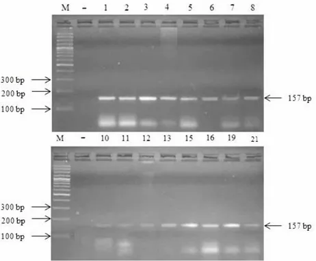 Gambar 3.  Persentasi  sensitivitas  deteksi  gen  BRLF1  dengan metode PCRkonvensional 