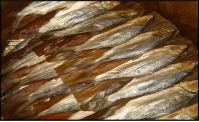 Gambar 11.  Ikan Pindang Bandeng 