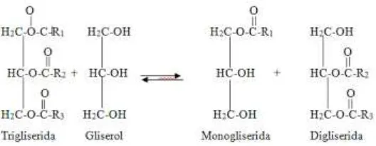 Gambar 10. Reaksi Pembentukan Monogliserida 