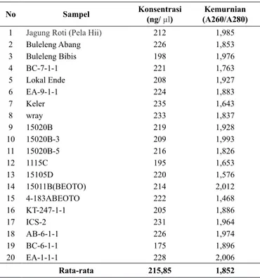 Tabel 1. Hasil pengujian konsentrasi dan kemurnian DNA sorgum  secara spektrofotometer