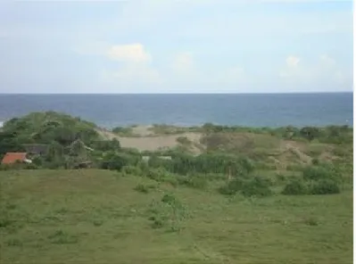 Gambar 3 : Fenomena sand dune yang unik ini menjadi salah satu penunjang dalam proses pergerakan aliran udara di daerah Pantai Sayang Heulang, Kabupaten