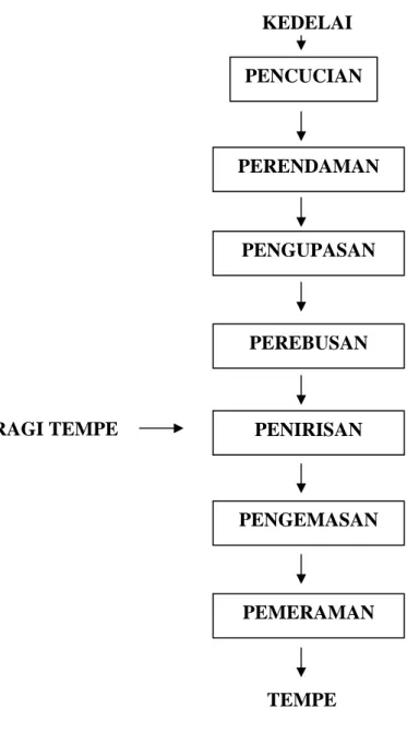Gambar 1. Proses pembuatan tempe kedelai            Sumber : Pembuatan tempe (Suprapti, 2003) 