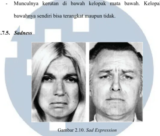 Gambar 2.10. Sad Expression 