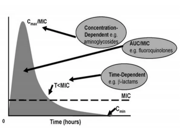 Gambar 4. Skema konsentrasi antibiotik tergantung waktu. 