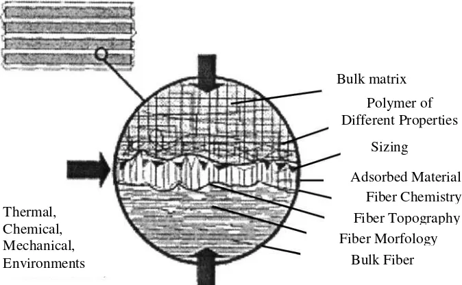 Gambar 2.3 Model Skematis Antarmuka Komposit Polimer  (Downing et al., 2000) 