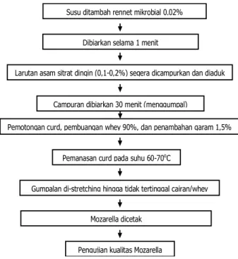 Gambar 1. Diagram alir proses pembuatan keju  mozarella