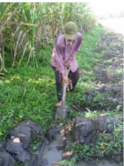 Gambar 2. Pembuatan Got 5.1.2. Persiapan Bahan Tanam