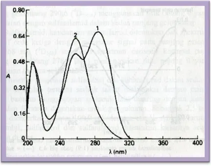 Gambar : spectra absorbsi larutan sulfatiazol (1) dan sulfanilamide (2)  dalam etanol-air (1:9) pada pH 4,5  
