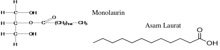 Gambar 2.3 Rumus Struktur asam monolaurin dan asam laurat. 