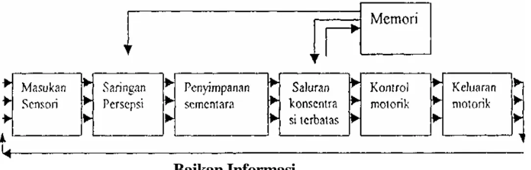 Gambar 4.  Model Dasar Pengolahan Informasi                              (Stallings 1982 :69) 