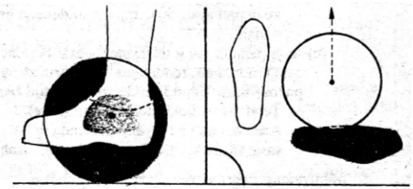 Gambar 2. Bagian Kaki Yang Menendang Bola  (Soekatamsi, 1988:52) 