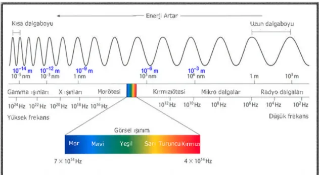 Şekil 1.5: Elektromagnetik dalganın frekans spektrumu