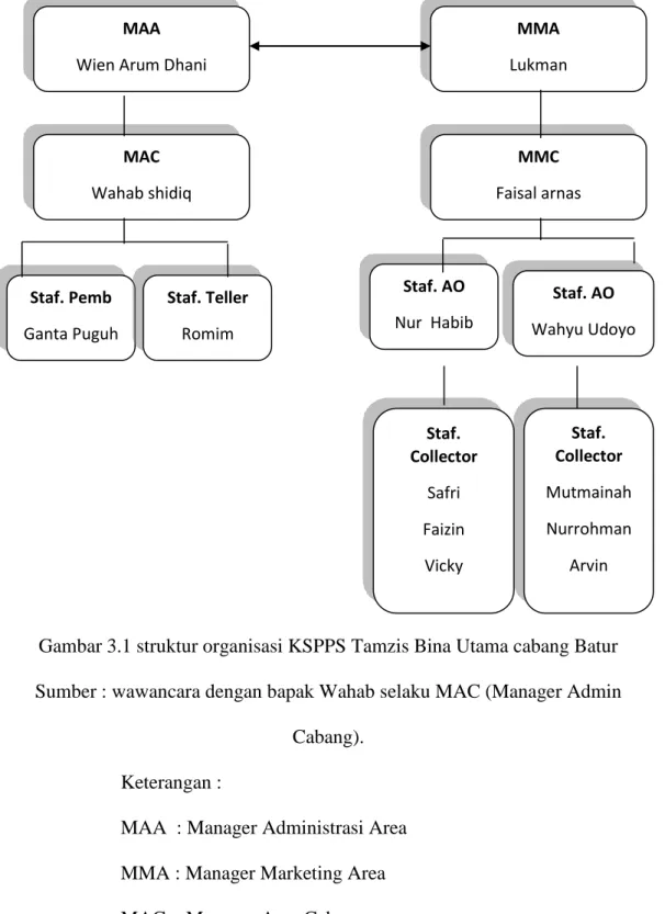 Gambar 3.1 struktur organisasi KSPPS Tamzis Bina Utama cabang Batur  Sumber : wawancara dengan bapak Wahab selaku MAC (Manager Admin 