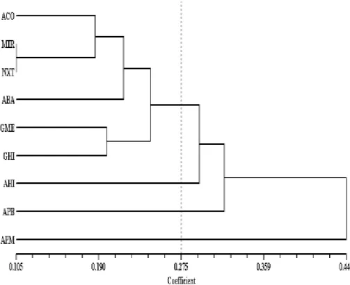 Gambar 7. Dendogram Sembilan Sampel Nepenthes yang dihasilkan dari  Analisis   NTSYS Gabungan Lima Primer 