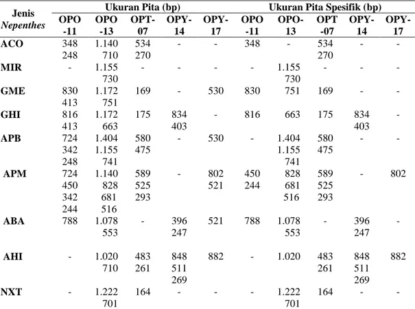 Tabel 4. Ukuran Pita Hasil Amplifikasi dan Pita Spesifik pada Masing-Masing  Primer 