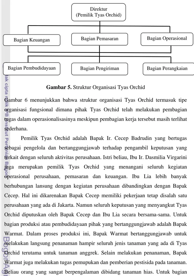 Gambar 5. Struktur Organisasi Tyas Orchid 