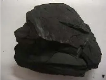 Gambar 2.9 Batubara Jenis Sub-bituminus Sub-bituminus [10]