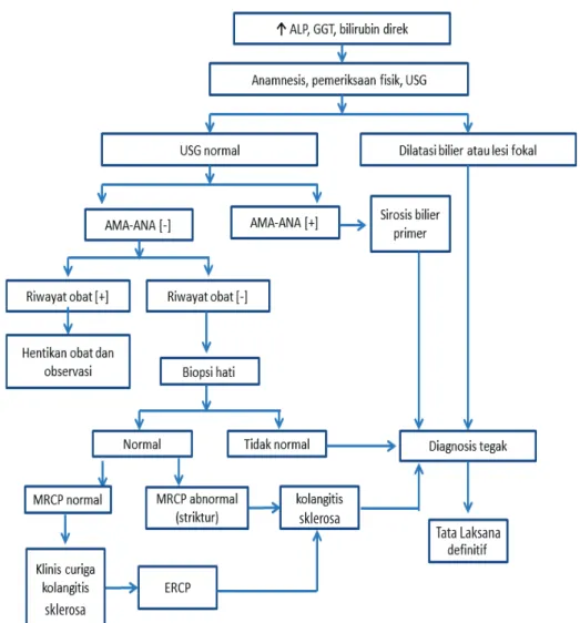 Gambar 1 Pendekatan diagnostik kolestasis 5