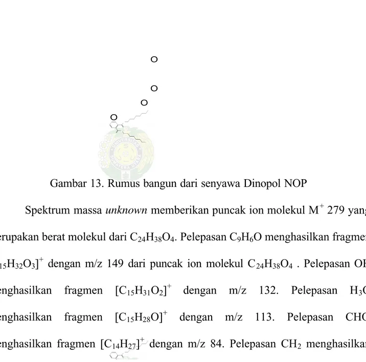 Gambar 13. Rumus bangun dari senyawa Dinopol NOP