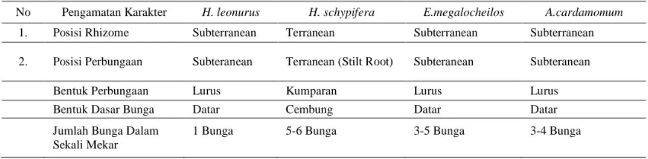 Tabel  1.  Perbandingan  karakter  morfologi  utama  H.  leonurus  dengan  kerabat  dekatnya  dalam  tribe  Alpiniae