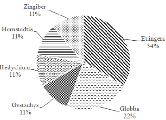 Gambar  3.  Persentase  Jumlah  spesies  pada  genus yang di temukan di Gunung Talang  
