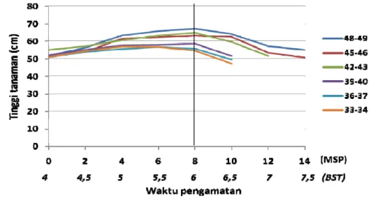 Gambar 2   Tinggi tanaman selama 14 MSP pada kadar air media berbeda  Keterangan : Garis vertikal merupakan batas pemberian aplikasi perlakuan  MSP : minggu setelah perlakuan, BST : bulan setelah tanam