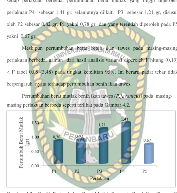 Tabel 4.2. dapat dilihat berat mutlak benih ikan tawes (P. javanicus) pada  masing-masing perlakuan setelah melakukan pemeliharaan selama 21  hari untuk  setiap perlakuan berbeda, pertumbuhan berat mutlak yang tinggi diperoleh  perlakuan P4   sebesar  1,41