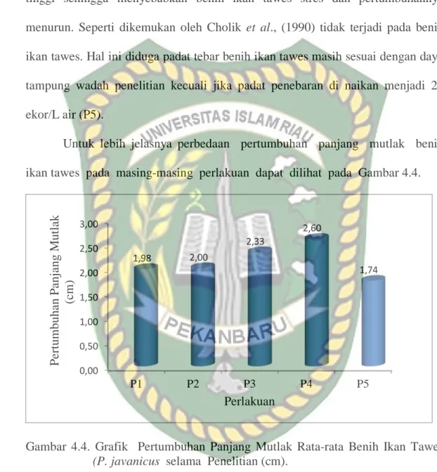 Gambar 4.4. Grafik    Pertumbuhan Panjang Mutlak Rata-rata Benih Ikan  Tawes  (P. javanicus  selama  Penelitian (cm)