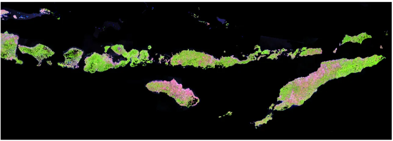 Gambar 3.3. Mosaik Landsat 2007 untuk Nusa Tenggara dengan kanal 3, 4, 5 pada BGR. Wilayah yang ditunjukkan berukuran sekitar 1500km x 500km