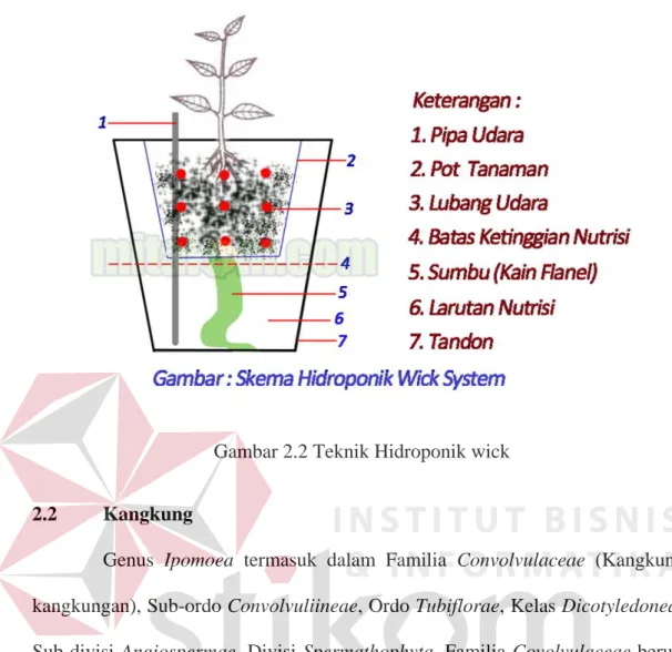Gambar 2.2 Teknik Hidroponik wick 
