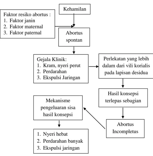 Gambar 2.1 Bagan Patofisiologi Abortus Incompletus  Sumber : Dikutip dari Manuaba (2010) dan Sofian (2013) 