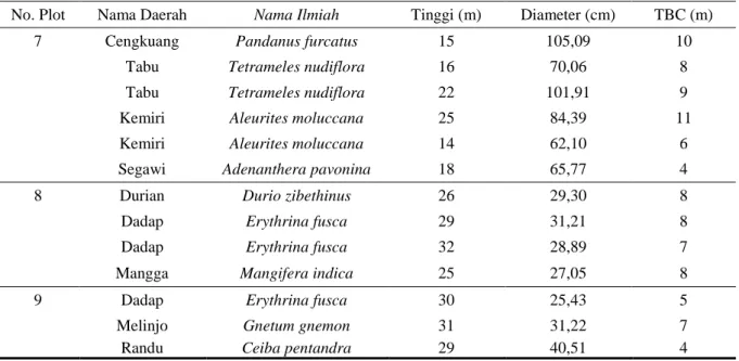 Tabu  Tetrameles nudiflora  16  70,06  8 