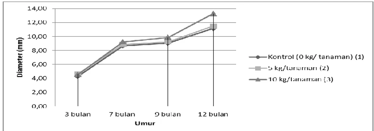 Gambar 3. Pertumbuhan diameter nyamplung pada 3 dosis pupuk  umur 12 bulan 