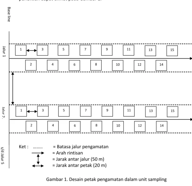 Gambar 1. Desain petak pengamatan dalam unit sampling  Desain  petak  pengamatan  dan  sub  petak  dalam  jalur  pengamatan  pada lokasi penelitian dapat dilihat pada gambar 2