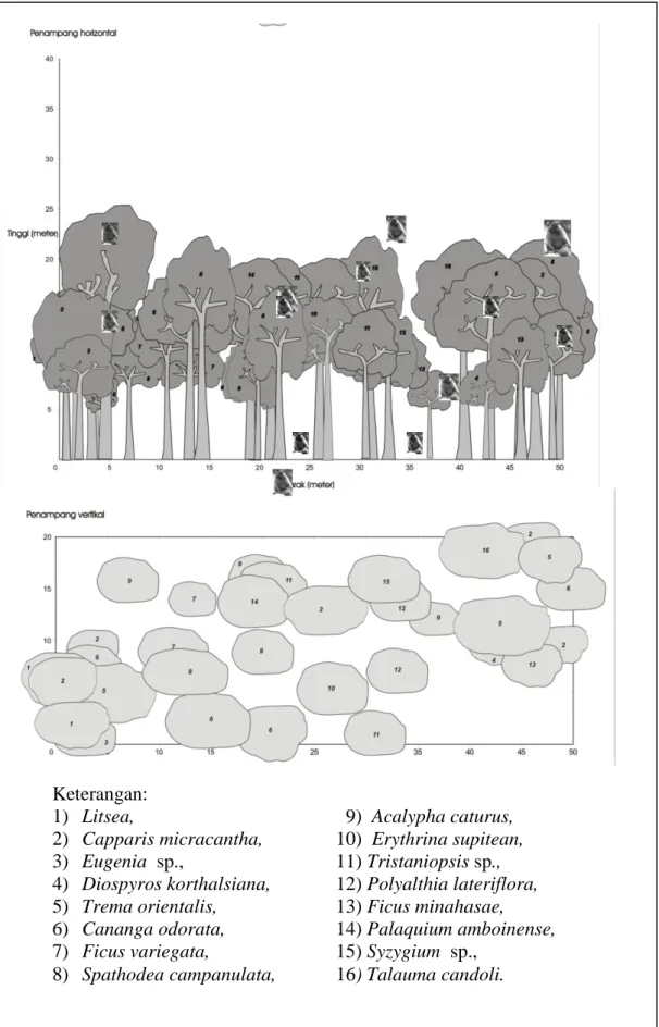 Gambar  2  Profil pohon tidur di plot B (daerah Duasudara). 
