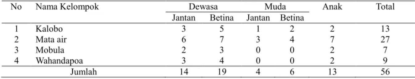 Tabel 5 Kelompok Macaca ochreata yang ditemukan di blok pengamatan 