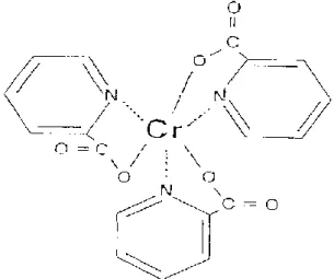 Gambar 2. Struktur Kimia Cr-Pikolinat  