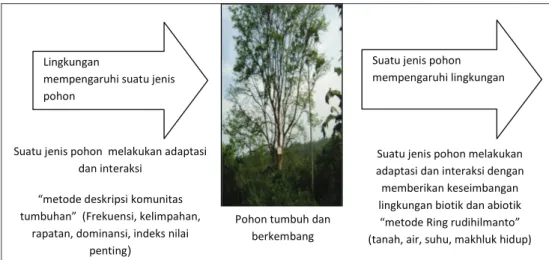 Gambar 1. interaksi antara tumbuhan dan lingkungan.