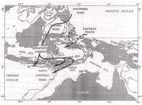 Gambar 2.  Perairan laut di Indonesia dan pola aliran massa airnya dari Samudera Pasifik  ke Samudera Hindia(Gordon dalam Fieux et al., 1995).