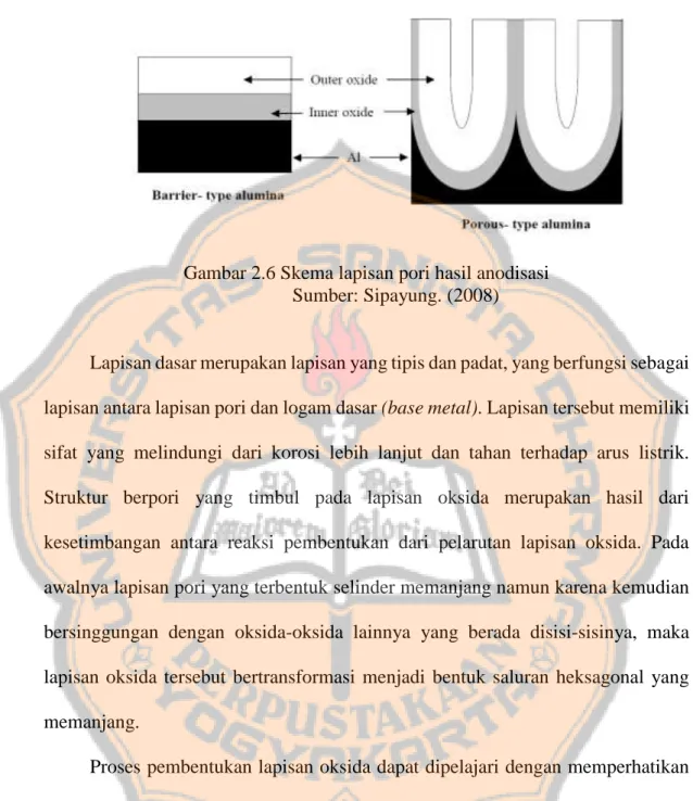 Gambar 2.6 Skema lapisan pori hasil anodisasi  Sumber: Sipayung. (2008) 