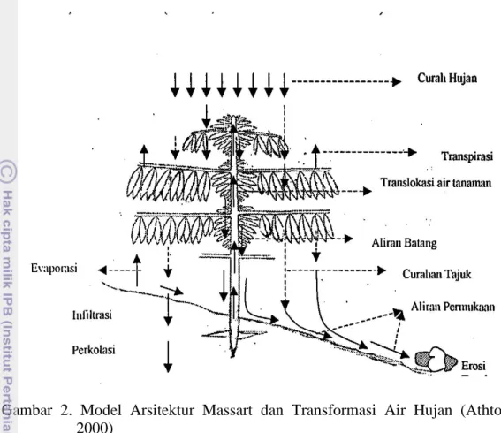 Gambar  2.  Model  Arsitektur  Massart  dan  Transformasi  Air  Hujan  (Athtorick  2000) 