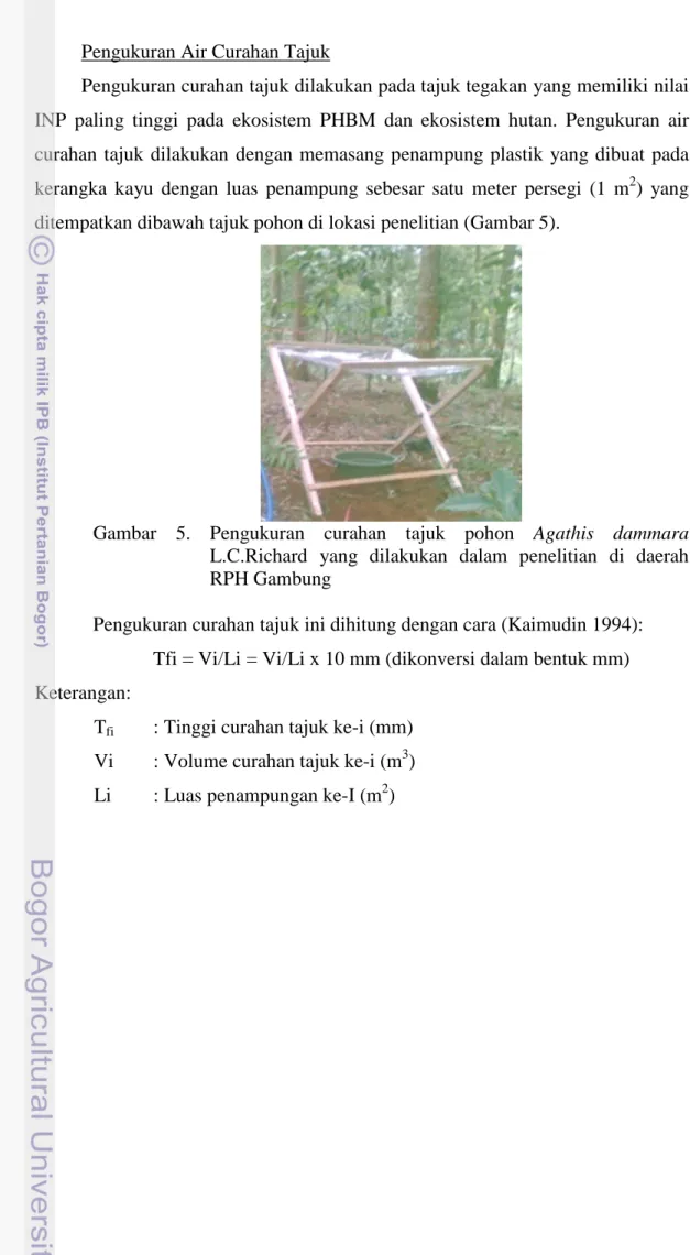 Gambar  5.  Pengukuran  curahan  tajuk  pohon  Agathis  dammara  L.C.Richard  yang  dilakukan  dalam  penelitian  di  daerah  RPH Gambung 