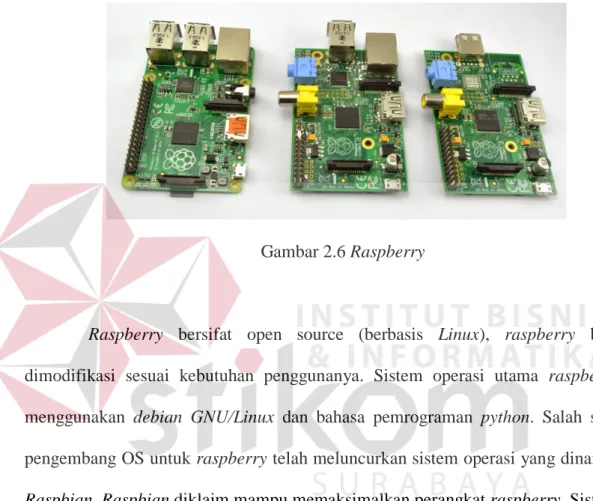 Gambar 2.6 Raspberry 