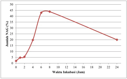 Gambar 4. Pengaruh waktu inkubasi terhadap jumlah N-asetil glukosamin 
