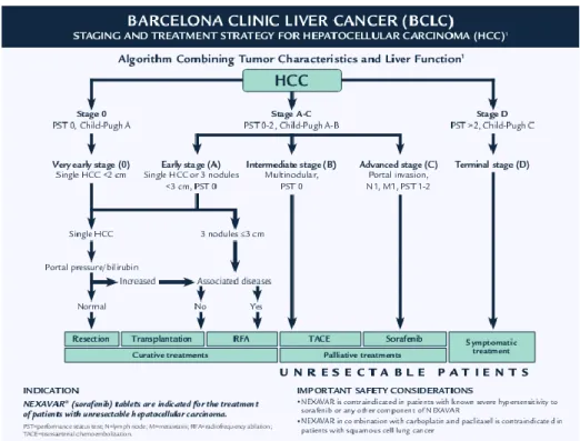 Gambar 2.5 Tatalaksana pada Karsinoma Hepatoselular menurut Barcelona Clinic Liver Cancer 