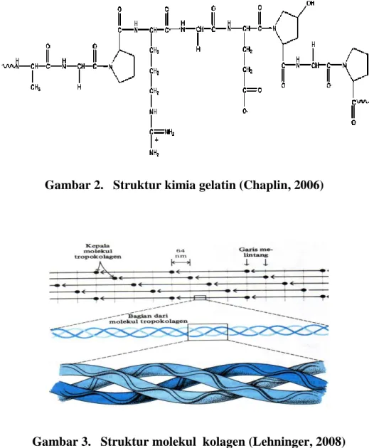 Gambar 2.   Struktur kimia gelatin (Chaplin, 2006) 